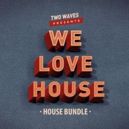 House素材Two Waves We Love House WAV