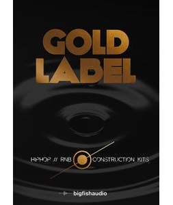 Hip Hop and RnB 素材Fish Audio Gold Label Hip Hop and RnB MULTiFORMAT